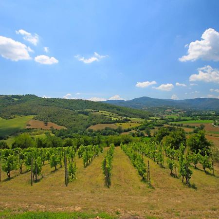 Holiday Home Montebello By Interhome Monterchi Exterior foto